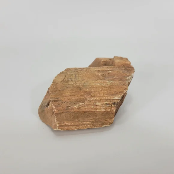 Petrified Wood Small 3 Inch Raw Natural Fossil Rock Specimen Arizona Mineral - Picture 2 of 12